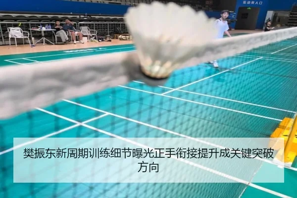 樊振东新周期训练细节曝光正手衔接提升成关键突破方向